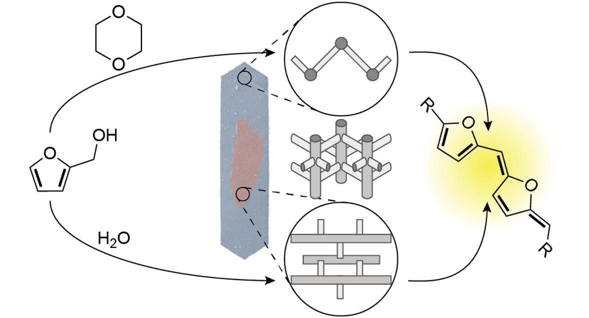 ACS Catal Publication