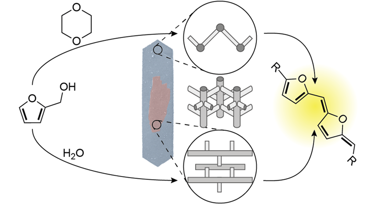 ACS Catal Publication