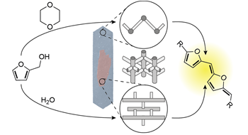 ACS Catal Publication