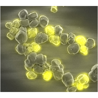 ChemCatChem ZSM-5 Publication