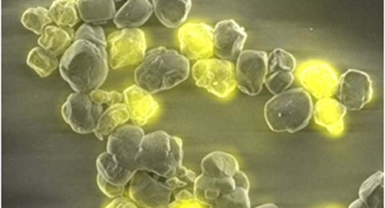 ChemCatChem ZSM-5 Publication